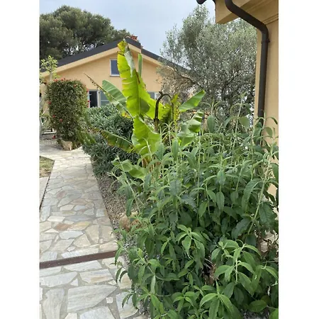 Monte Faudo Apartment *